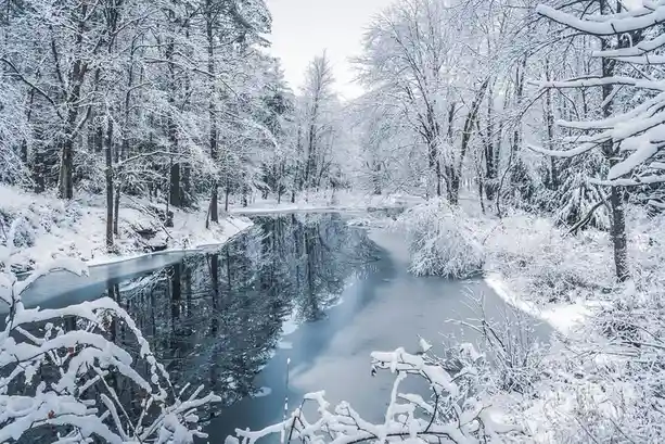 A Stunning Snowscape to Brighten Your Day
