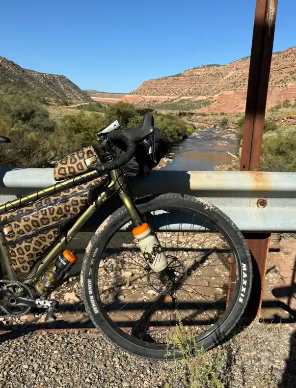 A bicycle with leopard-print bags and accessories is parked on a gravel shoulder next to a rusted guardrail, overlooking a…
