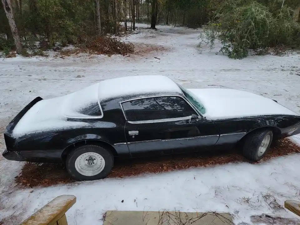 A black classic muscle car, likely a Chevrolet Camaro, is parked outdoors on a snowy surface with pine needles visible…