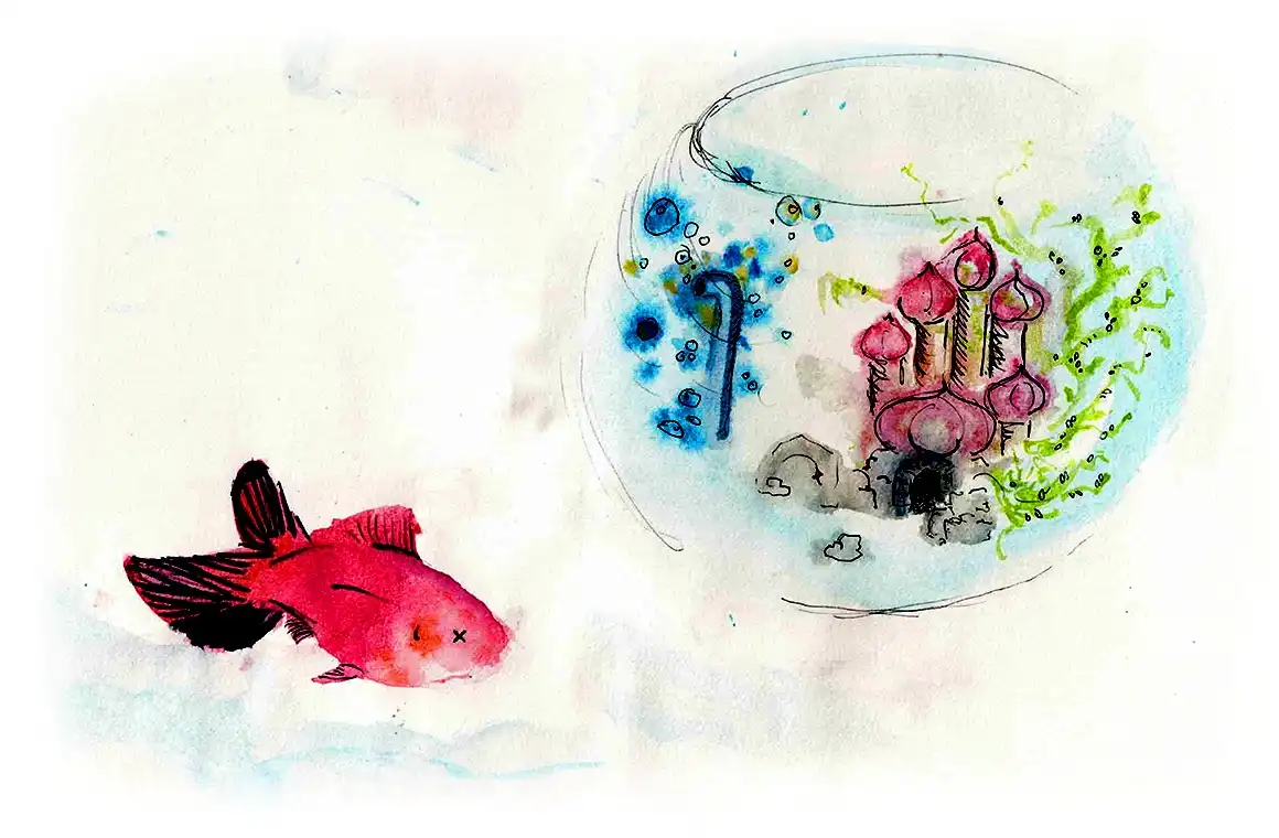 A watercolor illustration shows a red fish with an 'x' for an eye lying on the ground, looking toward a fishbowl that…