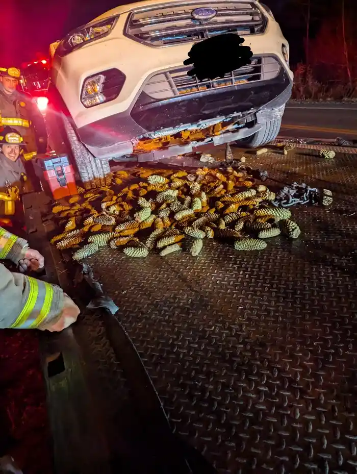 A damaged white Ford SUV is on a tow truck at night, its front bumper crushed and its license plate obscured. Scattered…