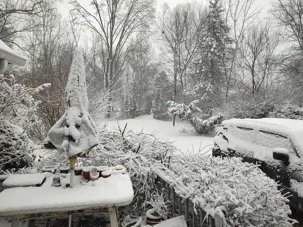 A snowy backyard scene shows a closed patio umbrella, a table, and bushes all heavily covered in fresh snow, with a…