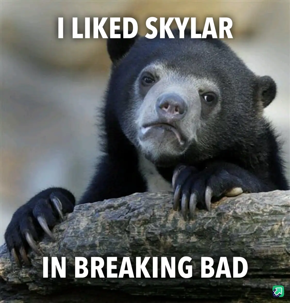 A close-up photo of a sad-looking spectacled bear resting its paws on a log, with white bold text overlaid at the top…