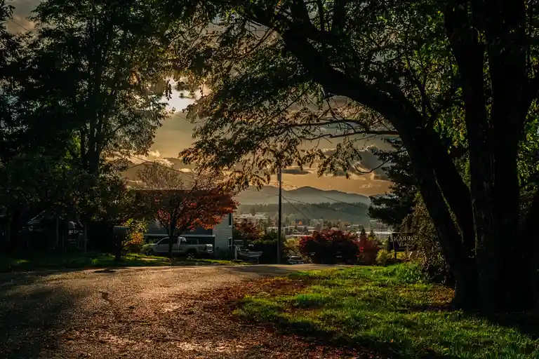 A scenic autumn photo shows a residential street framed by large trees with golden sunlight filtering through, revealing a…