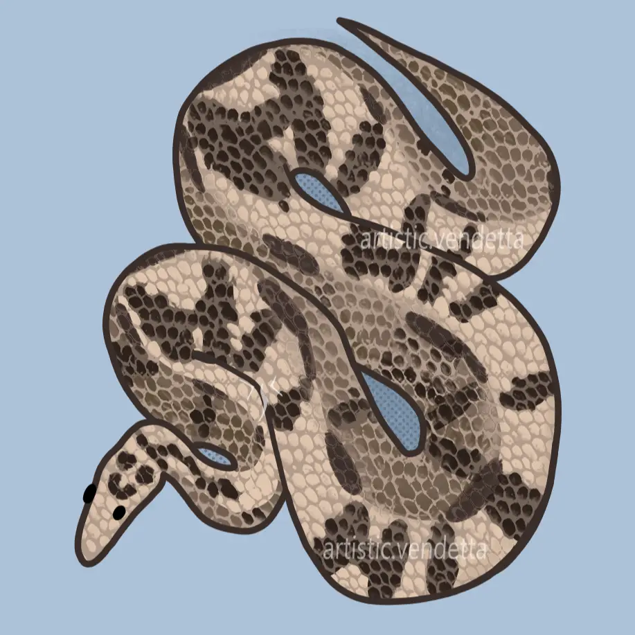 A cartoon-style illustration of a coiled snake with a beige and brown spotted pattern, set against a solid light blue…