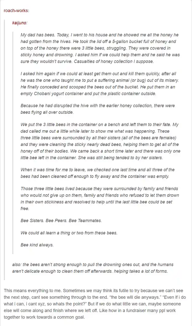 A valuable lesson we can learn from the hardworking bees