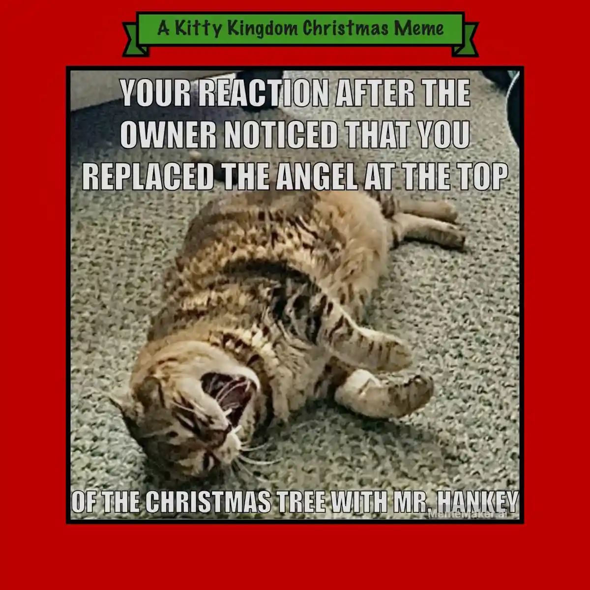 A tabby cat lies on its back on a carpet, mouth wide open in a yawn or meow, with overlaid text reading 'YOUR REACTION AFTER…