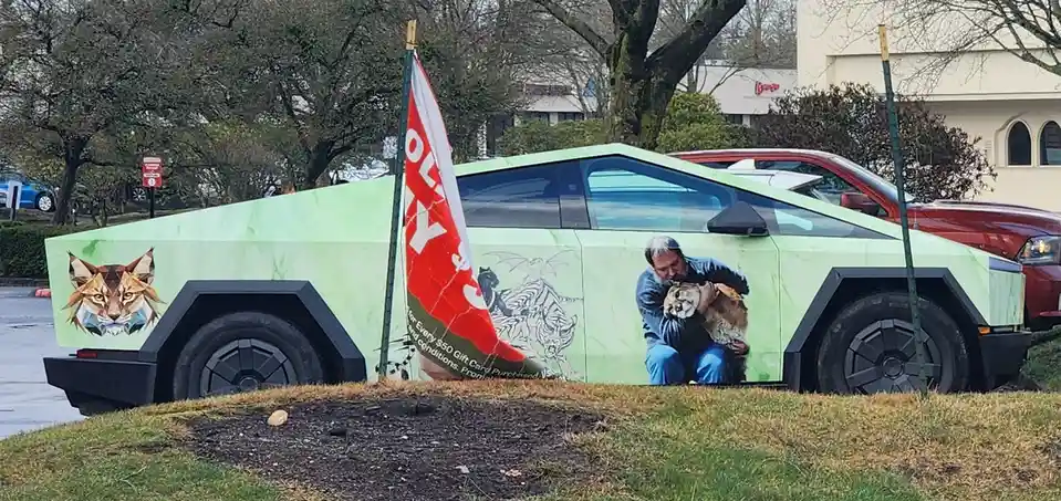 A light green Tesla Cybertruck is parked on a grassy area, covered in large animal-themed decals including a geometric lynx…