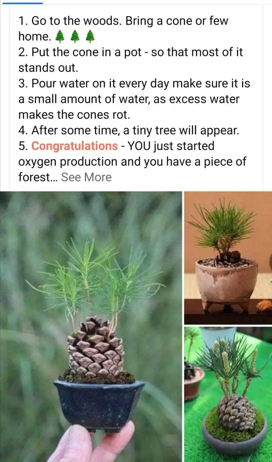 Time to Cultivate Something New