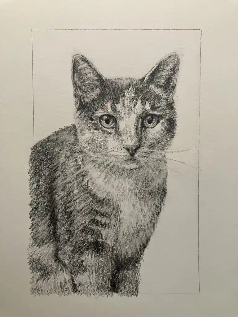 A detailed pencil sketch of a cat's head and upper body, drawn on textured paper within a light pencil rectangle. The cat…