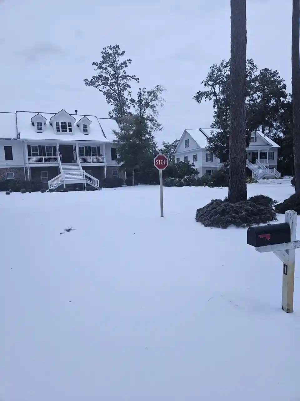 A snowy suburban street with white houses, trees, and a mailbox, featuring a red stop sign standing alone in the snow. The…