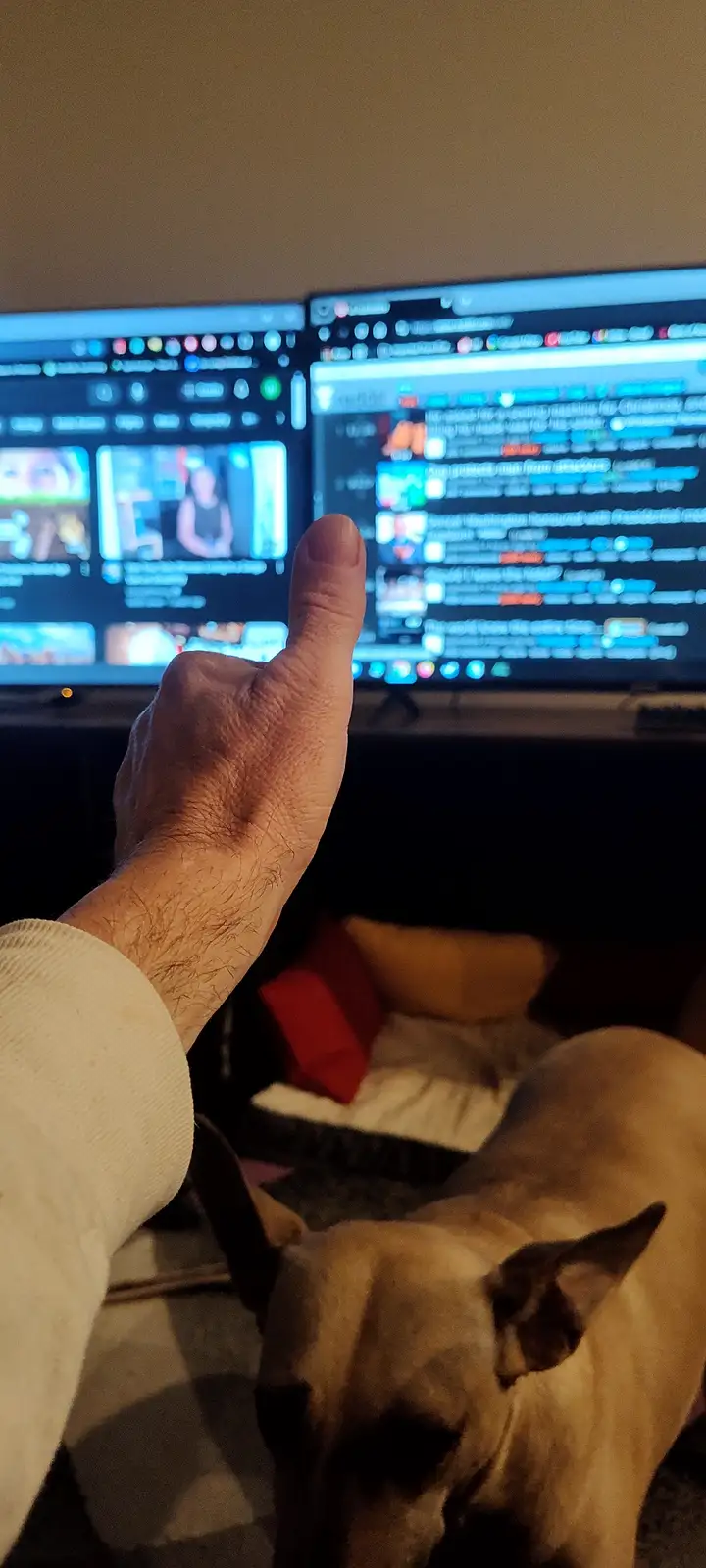 A person's hand gives a thumbs-up gesture in front of two computer monitors displaying Reddit and YouTube interfaces. A…