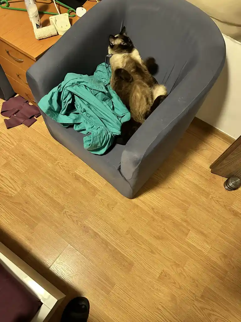 He's Deep in Thought About Who Knows What!