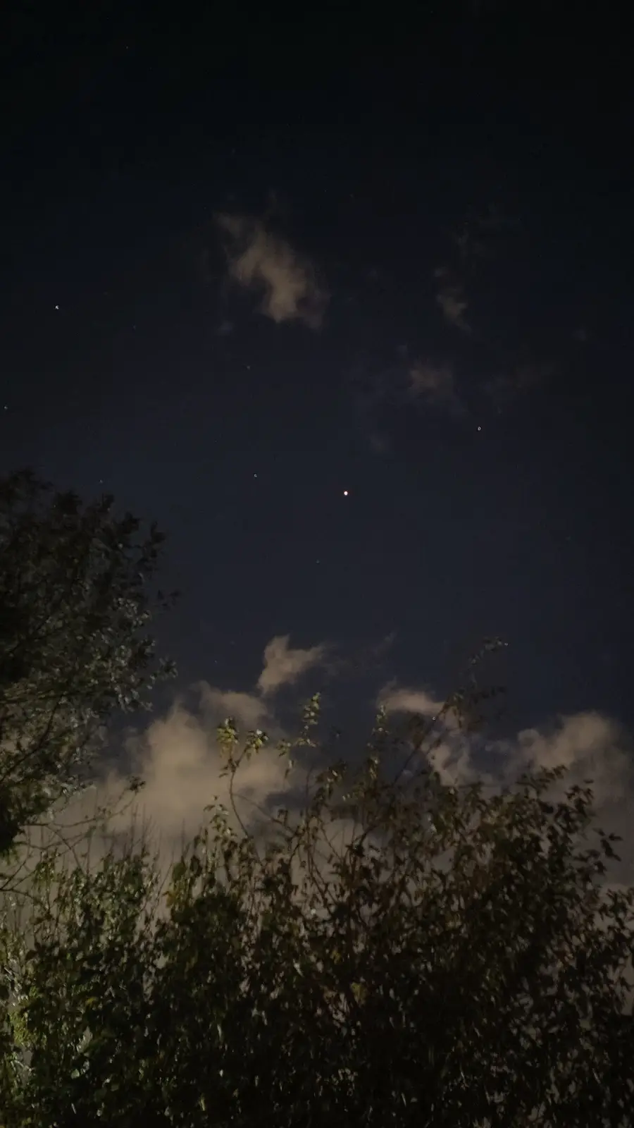 A night sky photo showing scattered stars and wispy clouds above silhouetted tree branches; overlaid text reads 'i saw a…