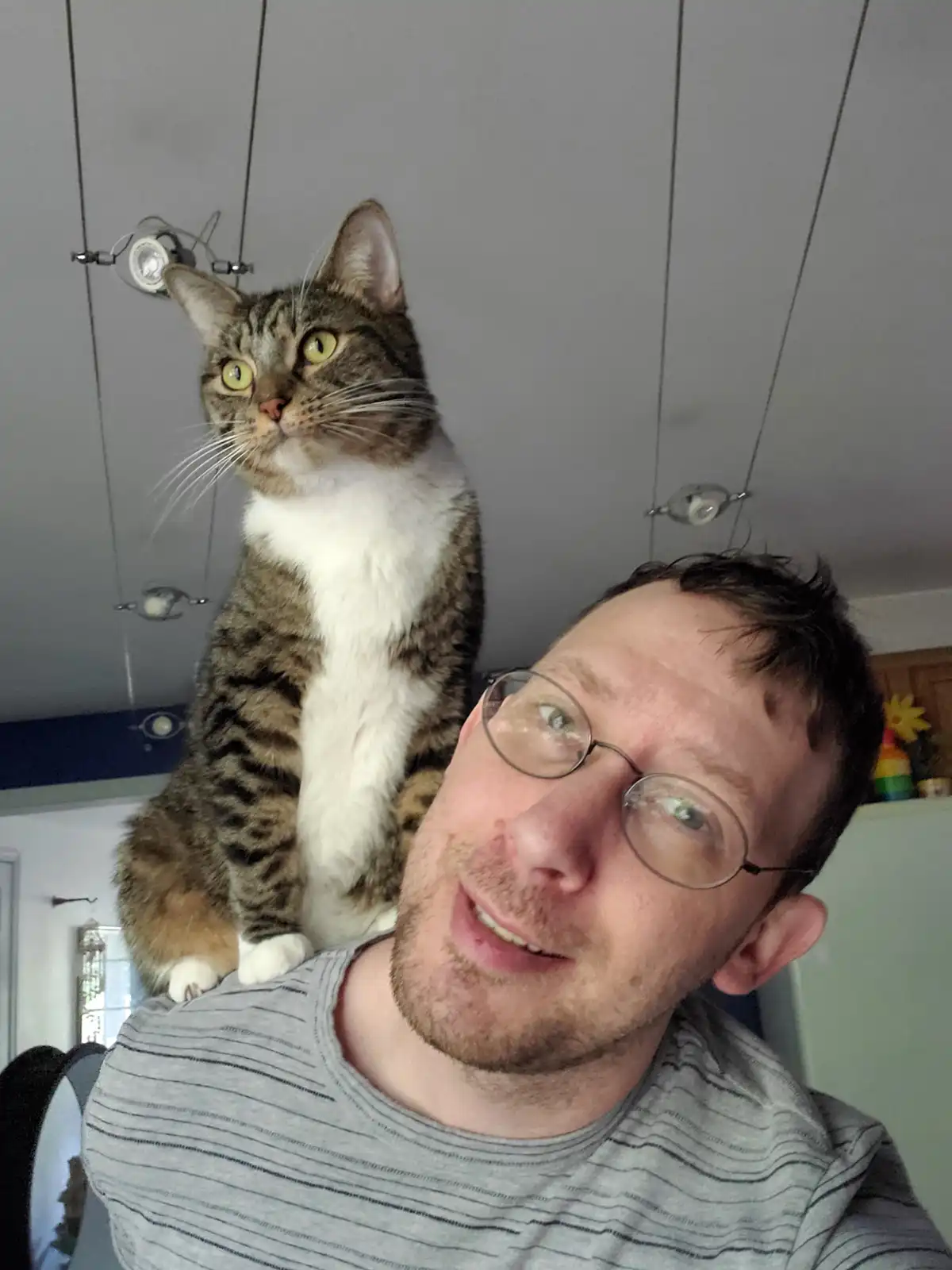 A man with glasses takes a selfie looking at the camera while a tabby cat with a white chest sits on his shoulder, looking…