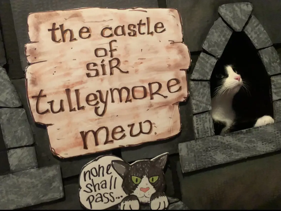 A black-and-white cat peeks out from a stone castle window next to a wooden sign reading 'the castle of sir tulleymore mew.'…