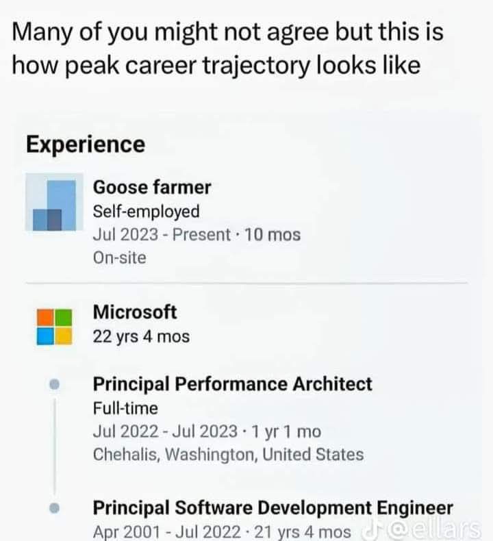 A screenshot of a resume experience section showing 'Goose farmer' as a self-employed role from July 2023 to present (10…