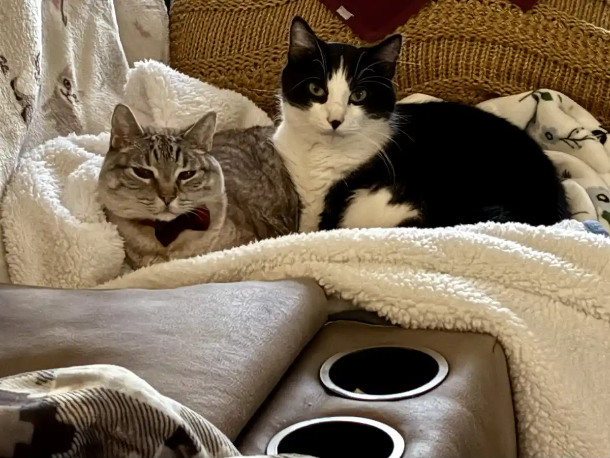 Why do they always judge me like this?
