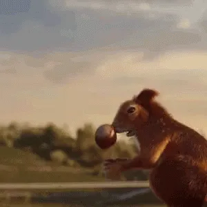The Acorn Chronicles