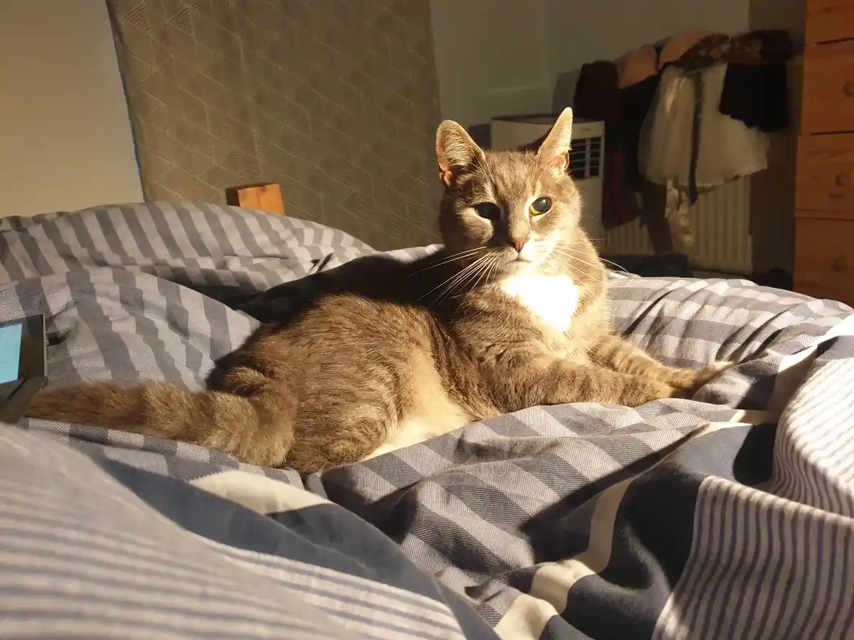 Wishing Sweet Dreams to the Old Man
