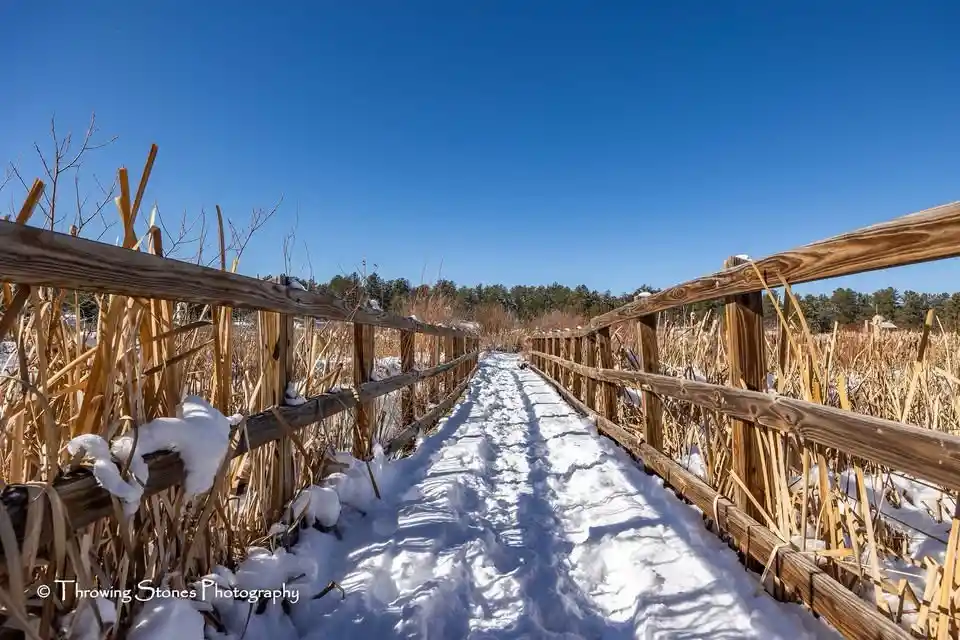 A serene frozen path awaits your footsteps.