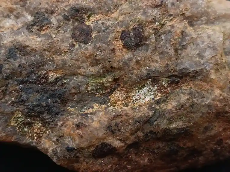 A close-up photo of a rough, textured rock with mottled brown, gray, and black patterns, featuring small patches of green…