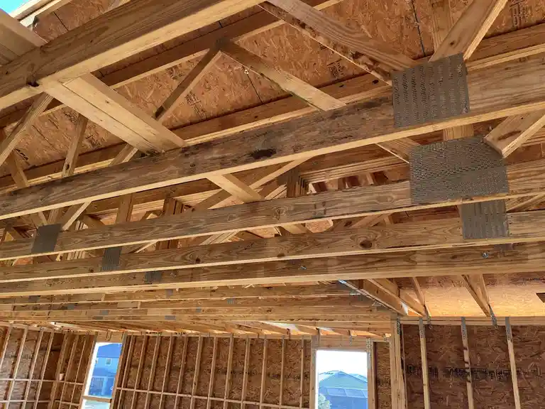 Is it mold or just dirt? Let's figure this out!
