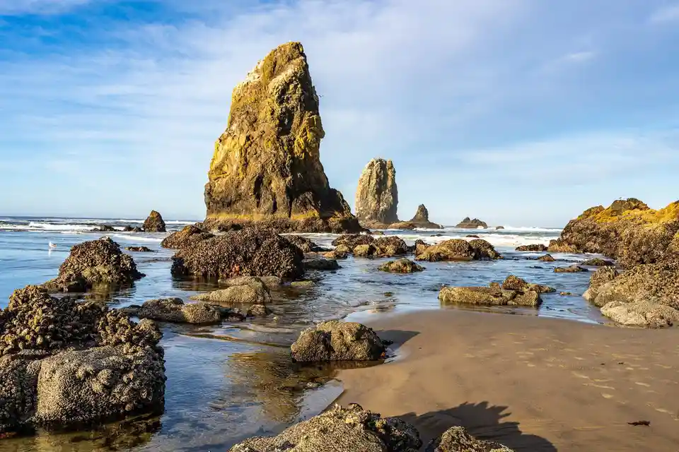 A scenic coastal photo shows large, moss-covered sea stacks rising from the ocean, surrounded by smaller rocks and wet sand…