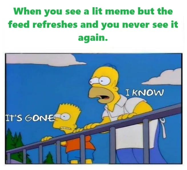 The image shows Bart Simpson looking down sadly with the text 'IT'S GONE' next to him, while his father Homer Simpson looks…