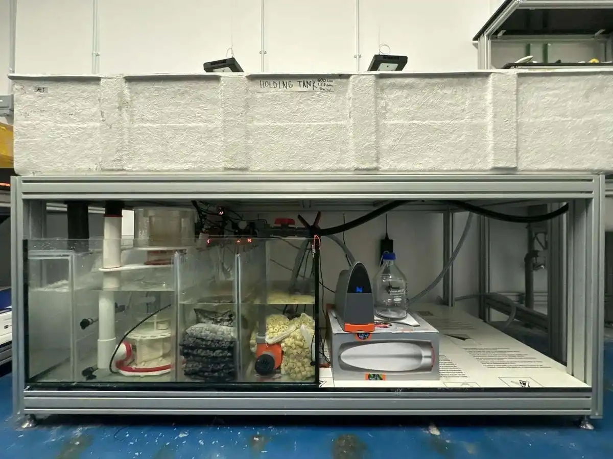 A large, white, rectangular tank labeled 'HOLDING TANK' sits atop a metal-framed glass enclosure containing various aquarium…