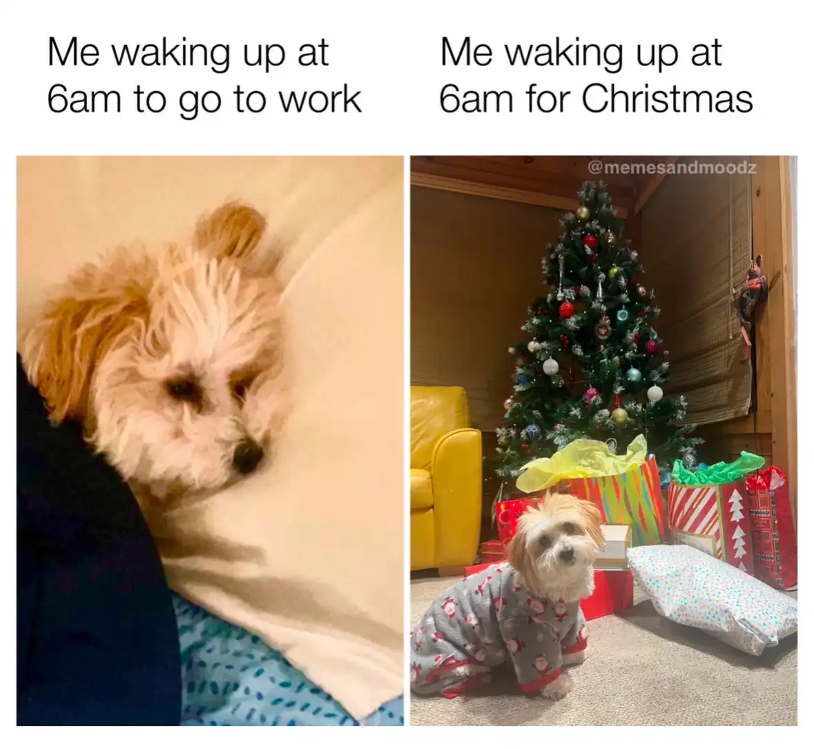 I'm all set and ready for the festivities!