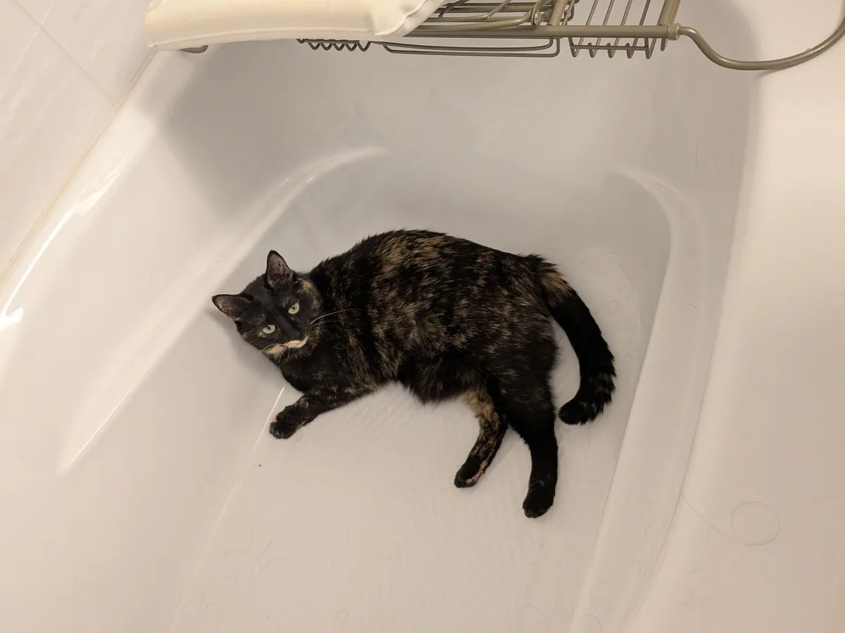 Tub Smudge: The Ultimate Relaxation Experience