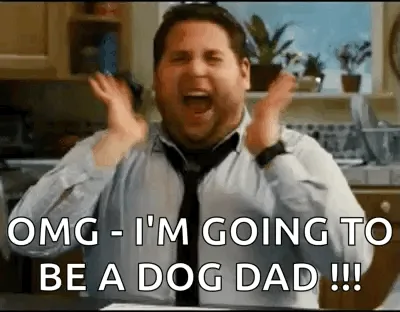 The image shows six panels of actor Jonah Hill in a kitchen, expressing extreme excitement with his mouth open and hands…