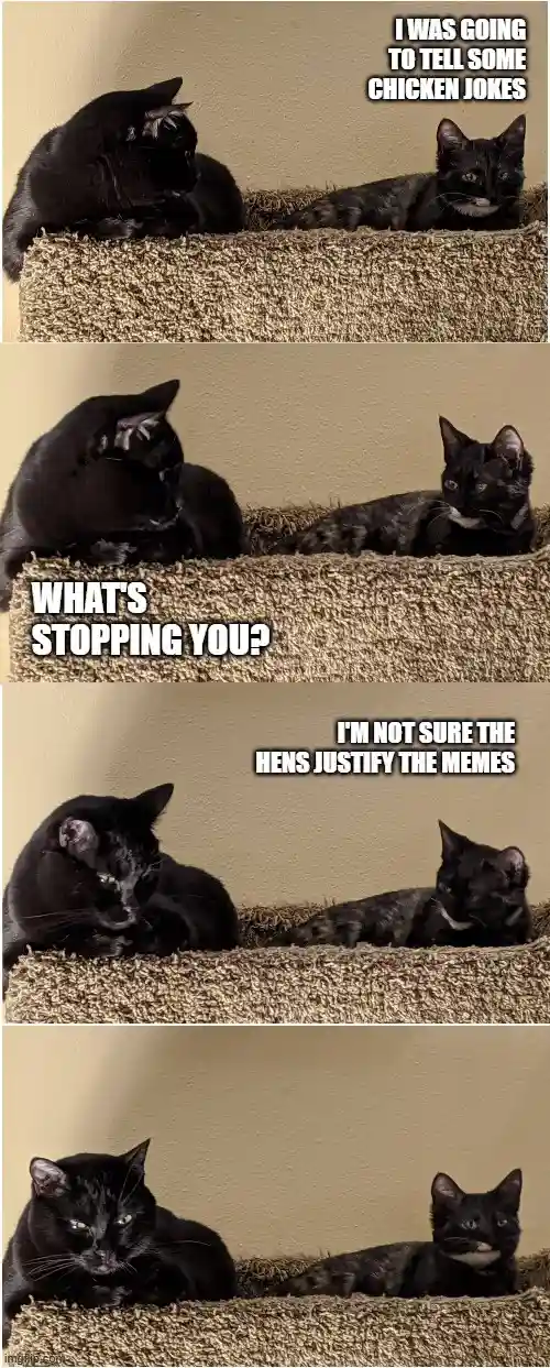 A four-panel meme featuring two black cats on a carpeted cat tree. The first cat says it was going to tell chicken jokes…