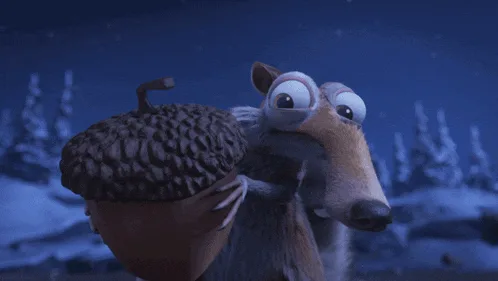 Behold My Precious Acorn