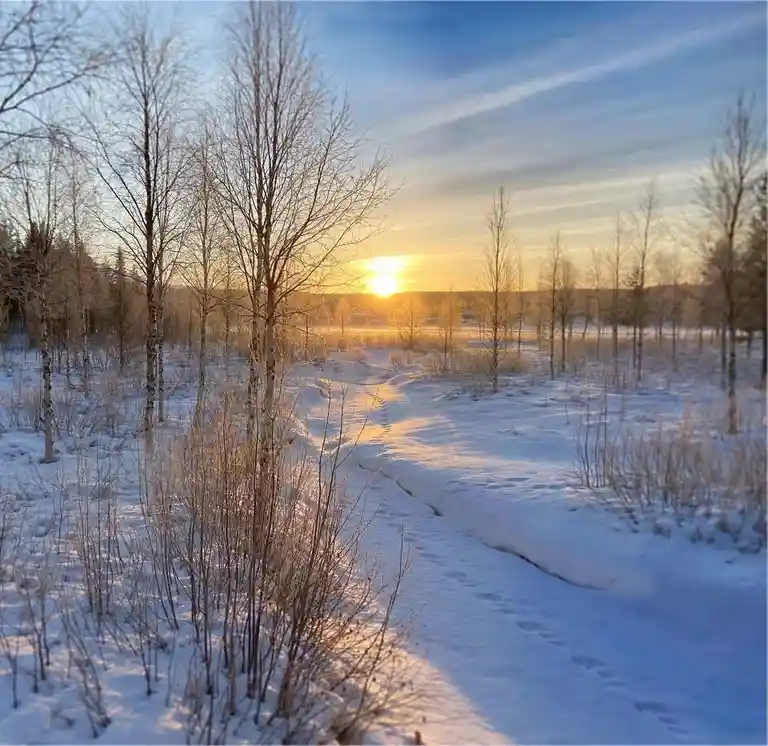 A serene winter landscape shows a snow-covered path winding through bare trees under a golden sunset. The overlaid text…