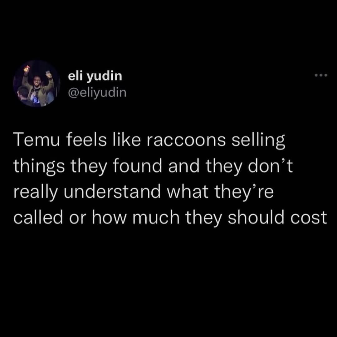 Discovering Temu