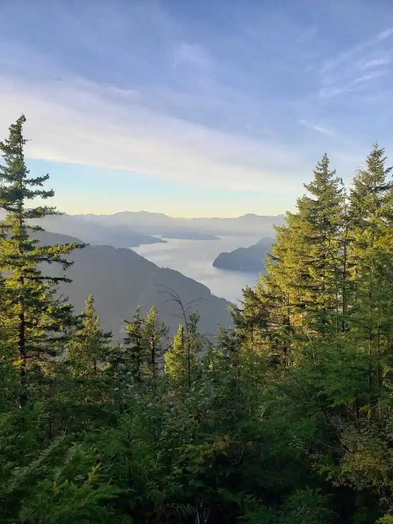 A scenic photograph shows a breathtaking view from atop a mountain, framed by tall evergreen trees in the foreground. Below…