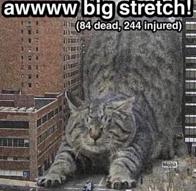 A giant tabby cat is stretched out on a city street, towering over buildings and cars, with the text 'awwww big stretch! (84…