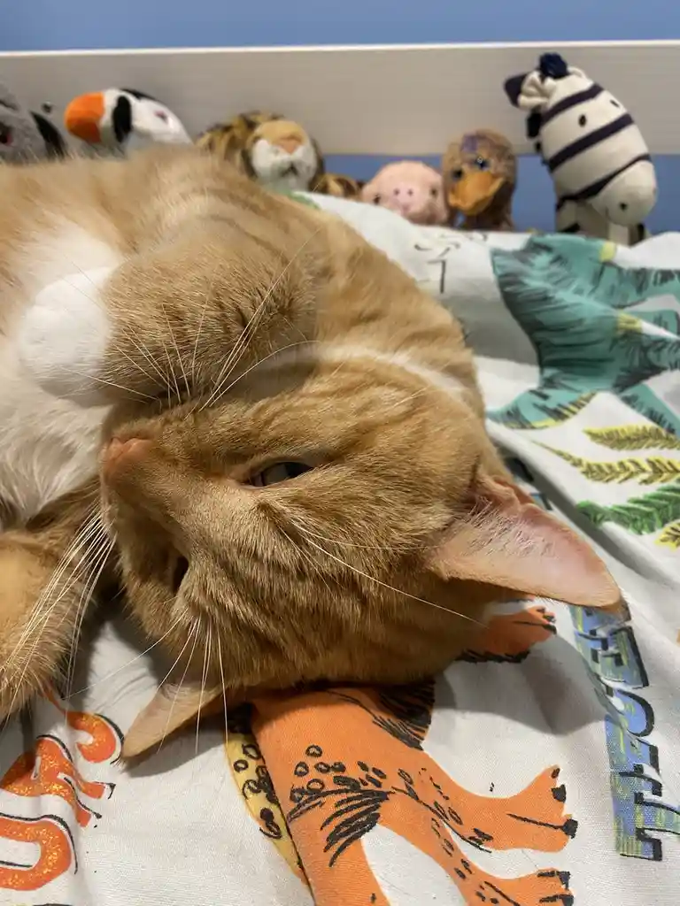 Biscuit's Daily Dose of Cuteness