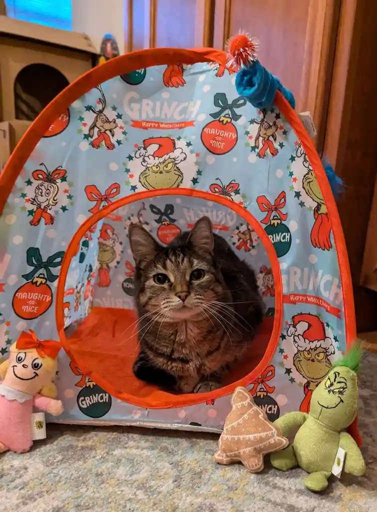 Merry Christmas Greetings from Jeff!