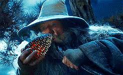 a close-up shot of a bearded man in a wide-brimmed hat holding a pinecone up to his nose, as if sniffing it. The image has a…
