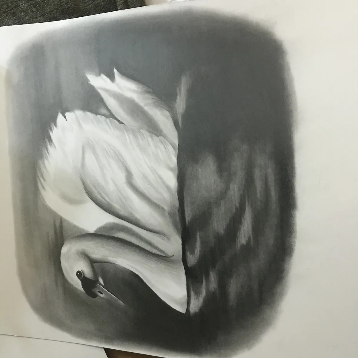 A realistic charcoal drawing of a swan on white paper, rendered in grayscale with detailed shading to show feathers and…