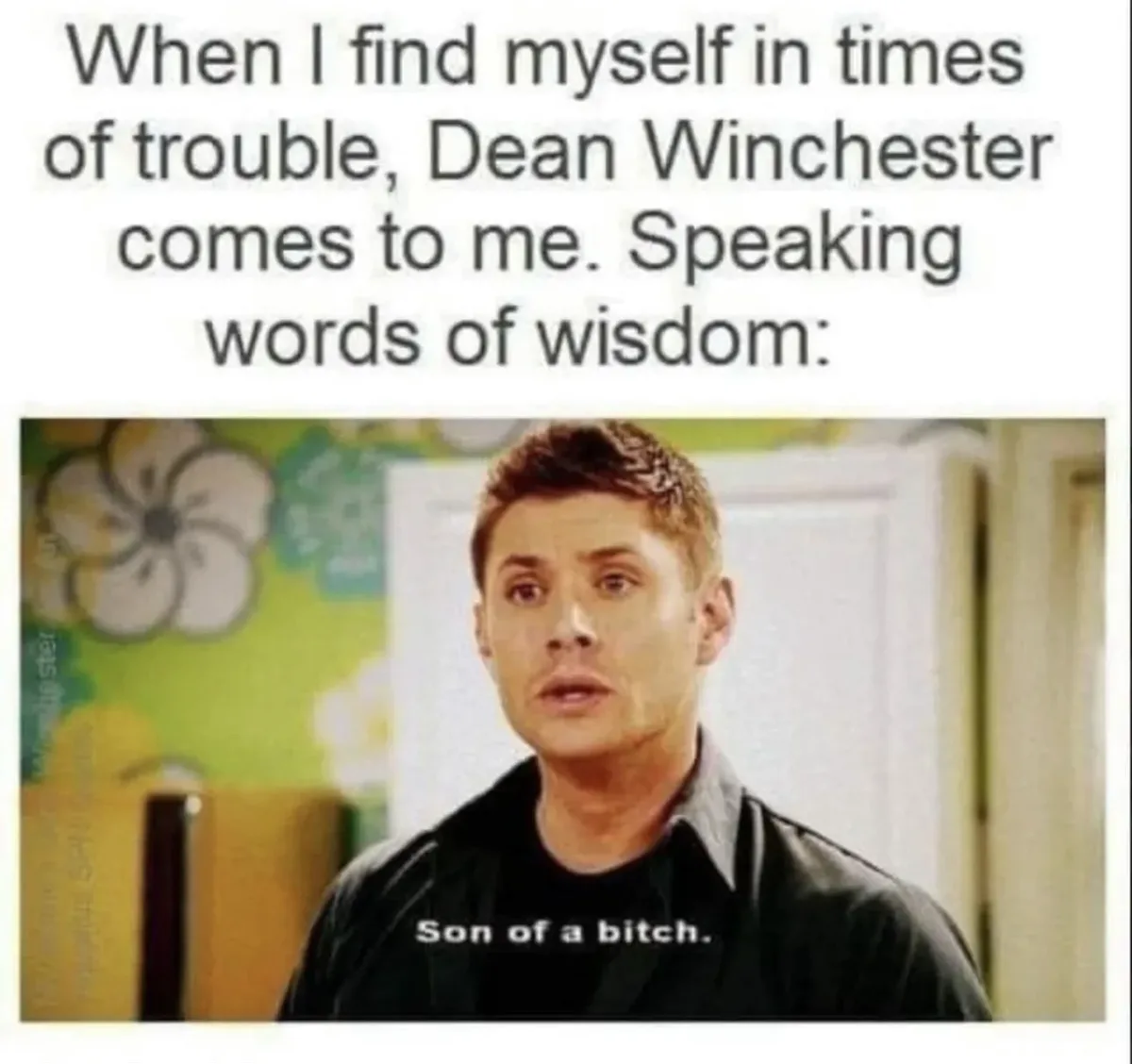 The image shows actor Jensen Ackles as Dean Winchester from 'Supernatural,' looking surprised or exasperated. The overlaid…