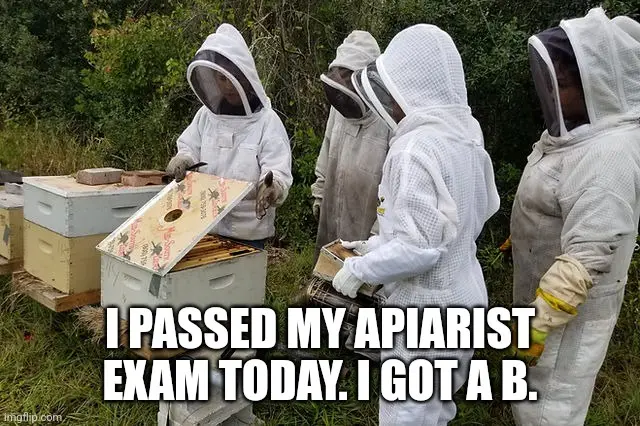 What an Exciting Buzz!