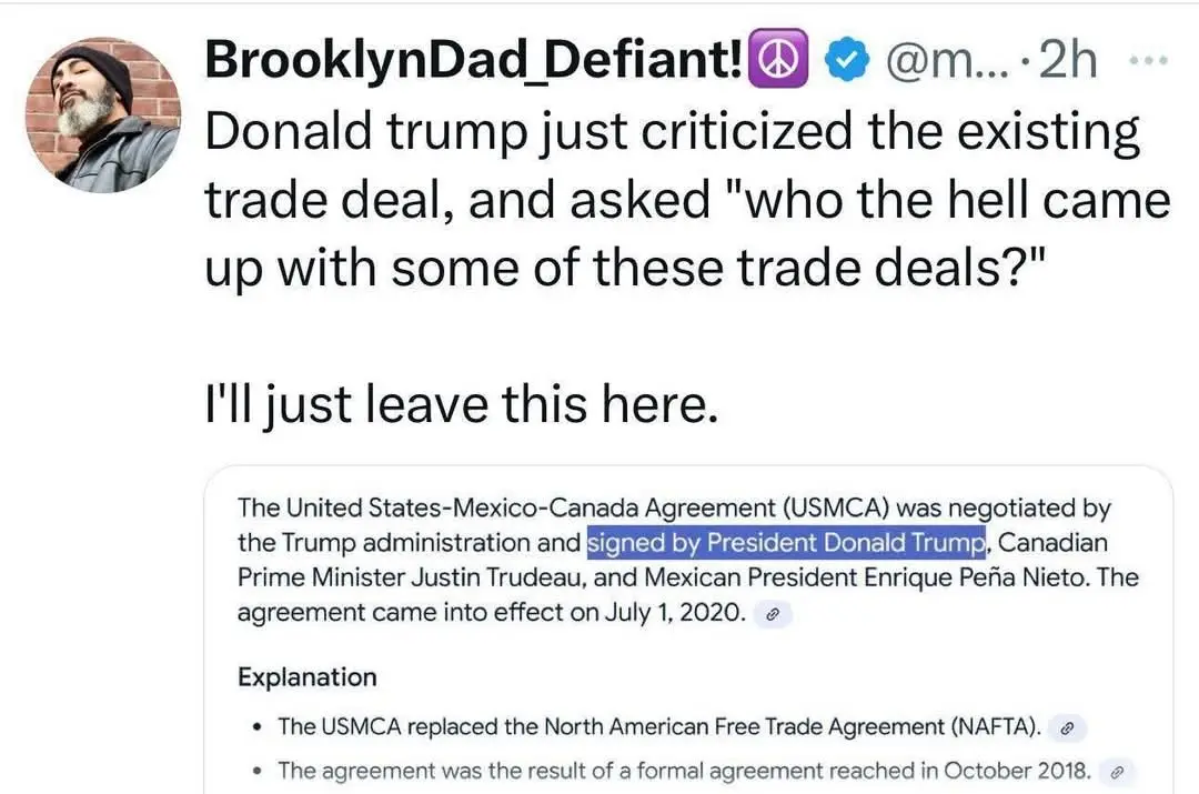 A screenshot of a tweet from user BrooklynDad_Defiant! showing a tweet that criticizes Donald Trump for questioning trade…