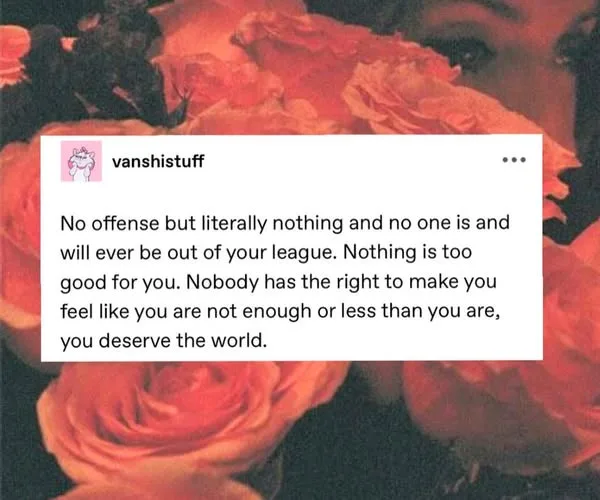 A screenshot of an Instagram post by 'vanshistuff' overlaid on a background of red roses. The post contains a motivational…