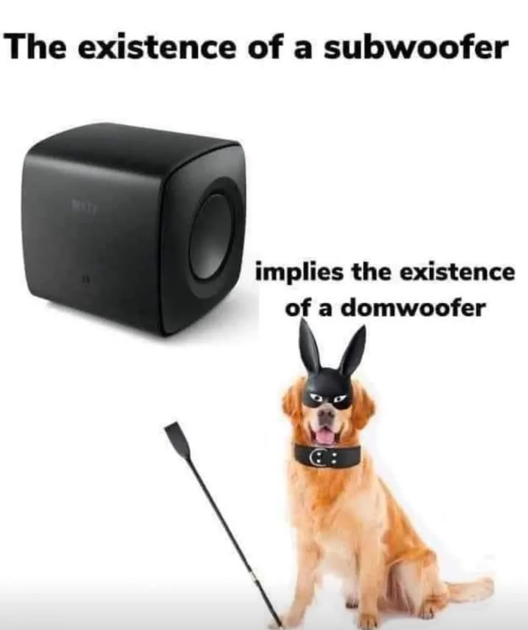 A black subwoofer is shown on the left, and on the right, a golden retriever wearing a black bunny mask and a black collar…
