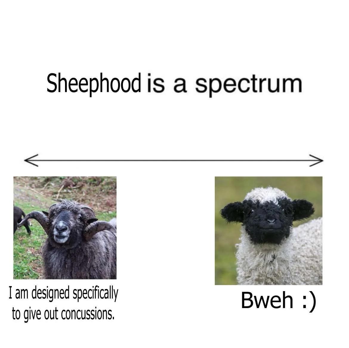 The Duality of My Inner Selves