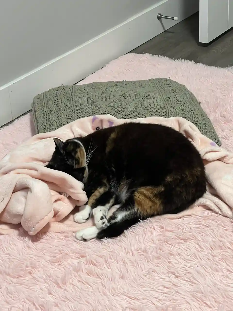 A calico cat with black, orange, and white fur is curled up sleeping on a fluffy pink blanket, which is placed on top of a…
